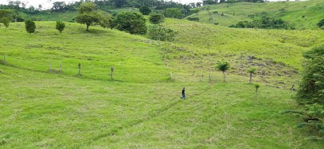 Finca Ganadera en Lebrija