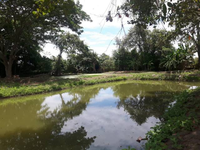 Venta Permuta de Granja en Espinal TOLIMA