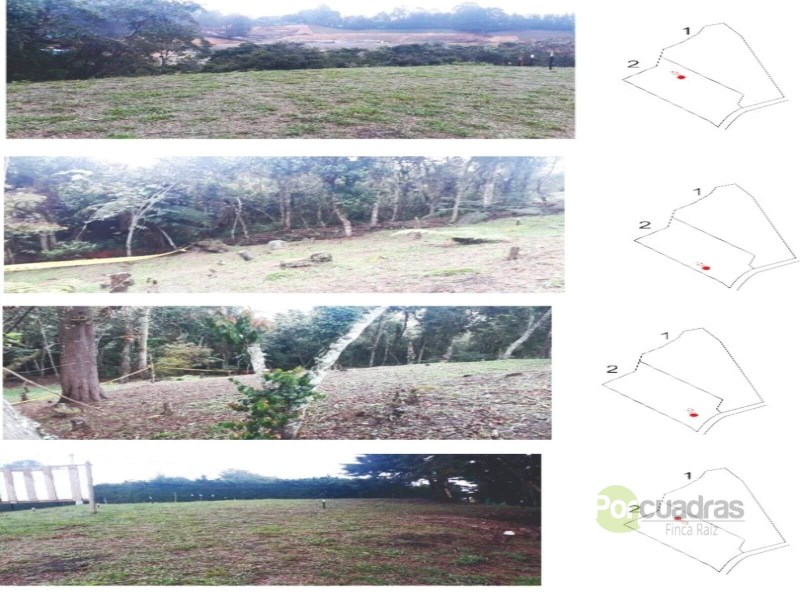 LOTE LAS PALMAS