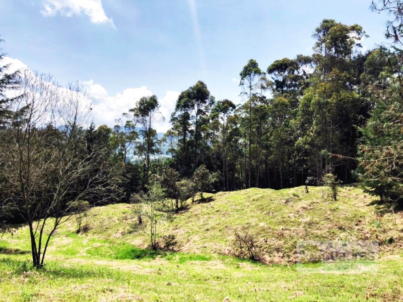 LOTE VIA SAN ANTONIO LA CEJA , SANTA TERESA