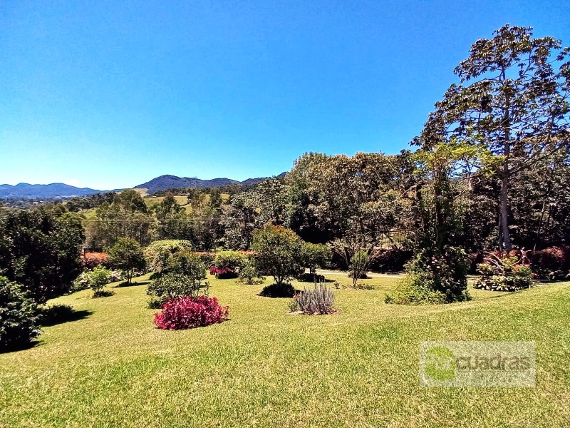 FINCA EN LA CEJA