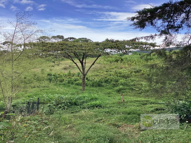 LOTE EN EL CARMEN DE VIBORAL