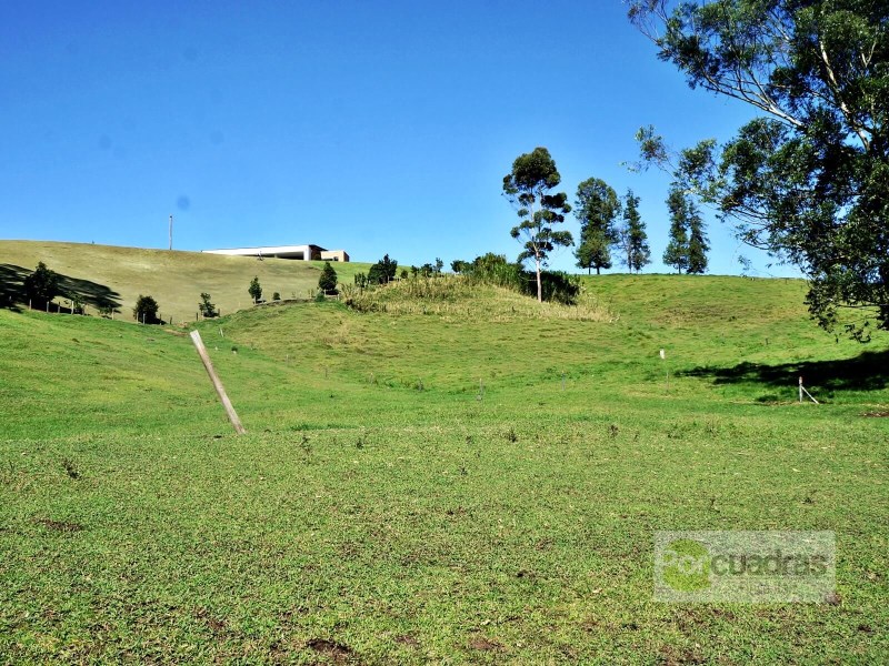 LOTE EN PONTEZUELA