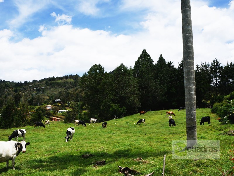 LOTE VIA AEROPUERTO HIPODROMO