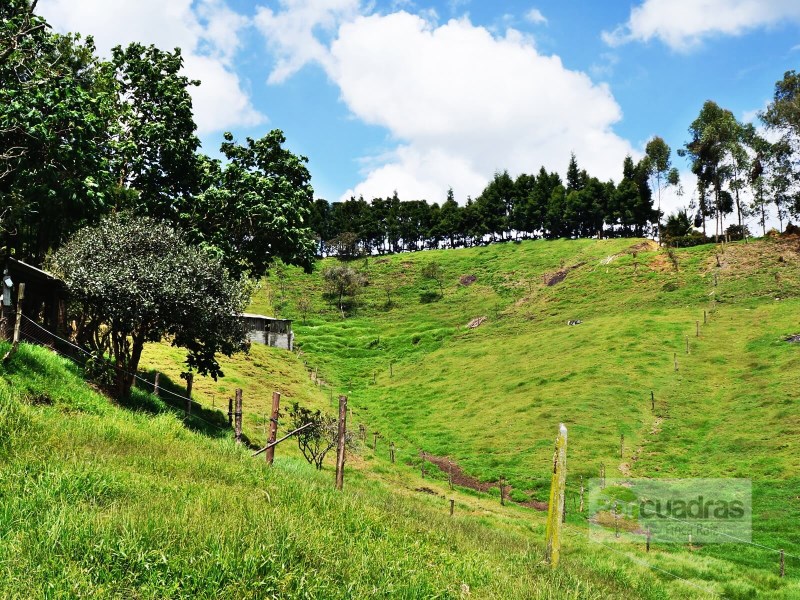 FINCA AGRICOLA VIA AEROPUERTO HIPODROMO