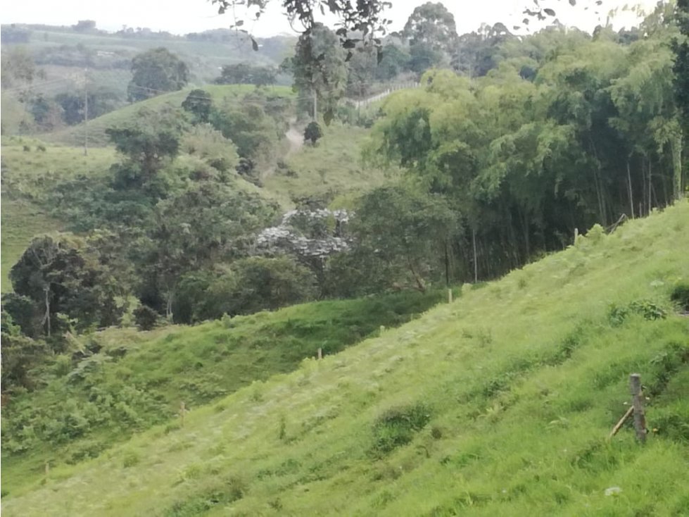 Se Vende Finca En Filandia Qundio