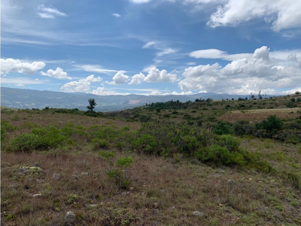 Se vende finca en firabitoba boyaca 19 hectareas