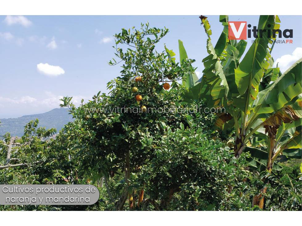 Finca en Arbeláez- Vereda Santa Rosa