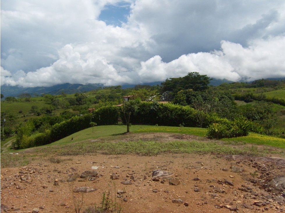 VENTA LOTE TÁMESIS, SUROESTE ANTIOQUEÑO UNIDAD CERRADA