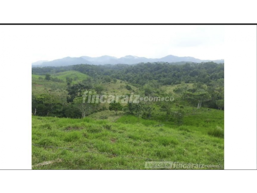 1,700 acre cattle farm for sale