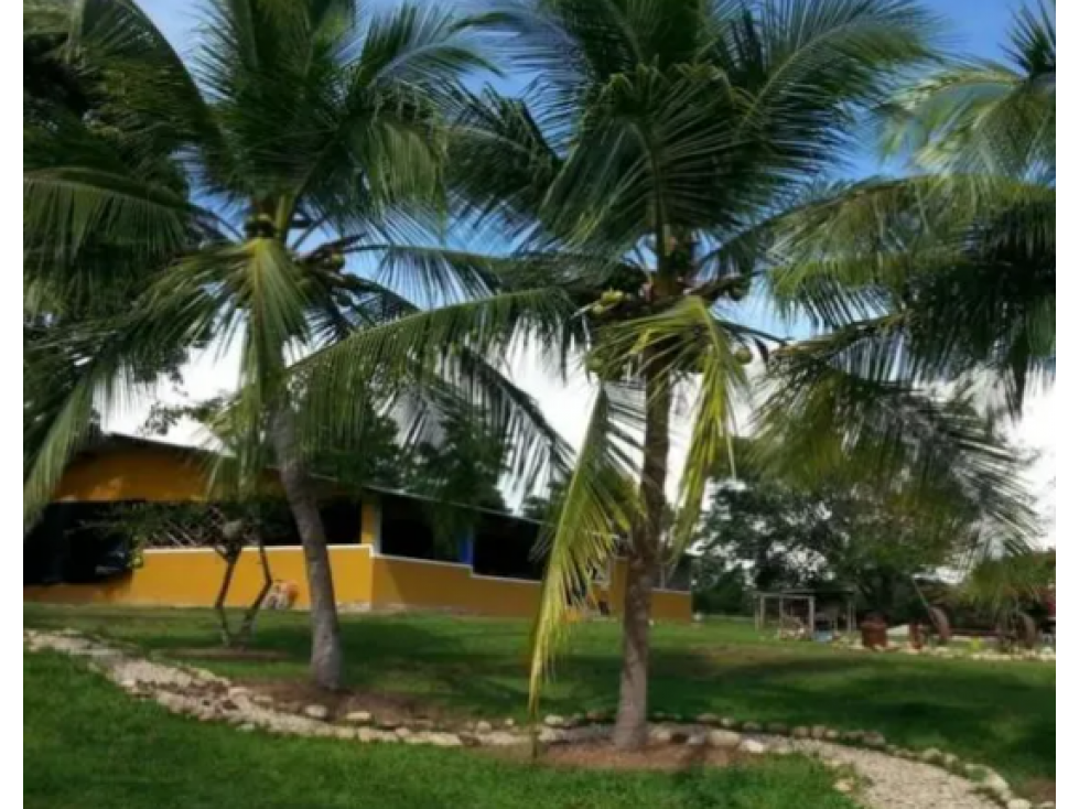 Venta gran finca piscícola en Casanare