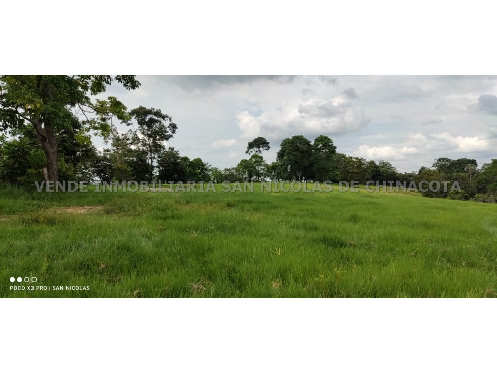 VENDO FINCA GANADERA EN CUCUTA