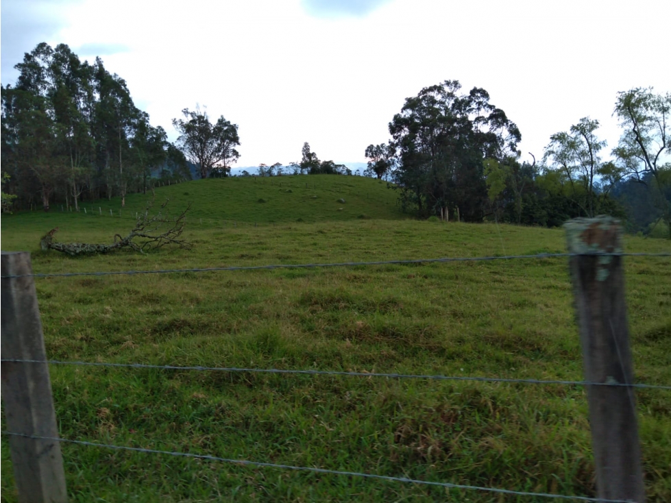 Finca de 1 hectárea en venta en la vereda negrete de Pacho