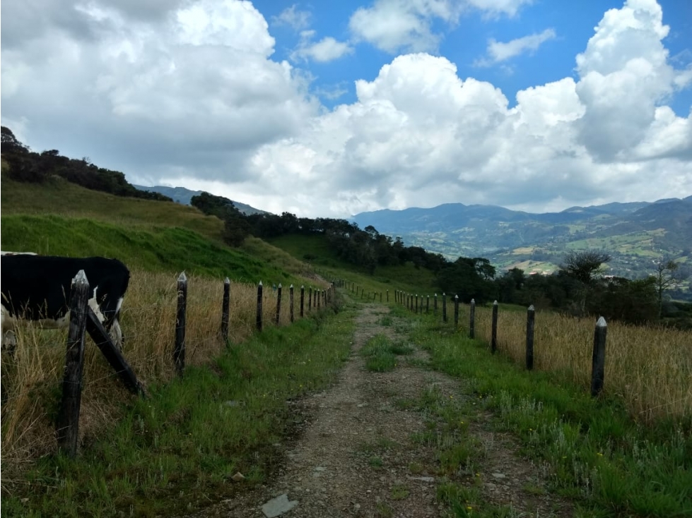 LOTE VENTA SUBACHOQUE, CUNDINAMARCA T.