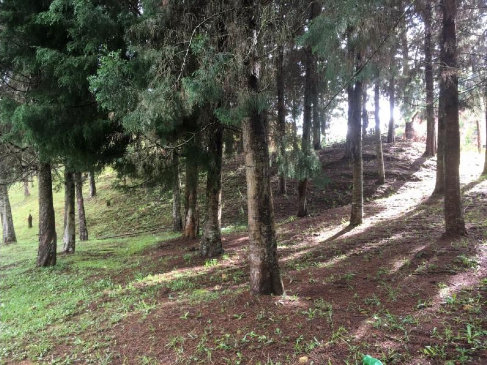 Lote en Venta en Guarne