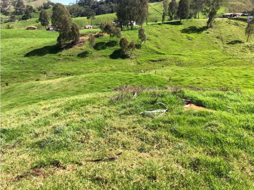 LOTE DE UNA CUADRA SAN PEDRO DE LOS MILAGROS