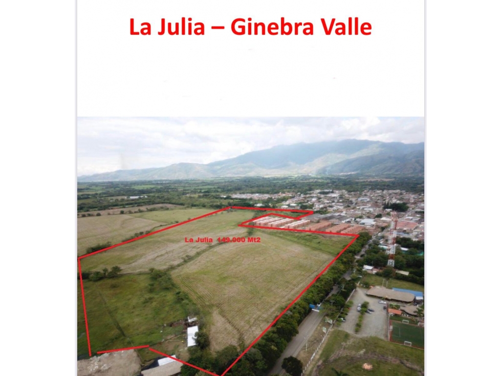 LOTE EN GINEBRA SOBRE LA CARRETERA (D.E)