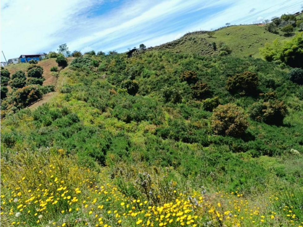 Finca en Vender en San Vicente