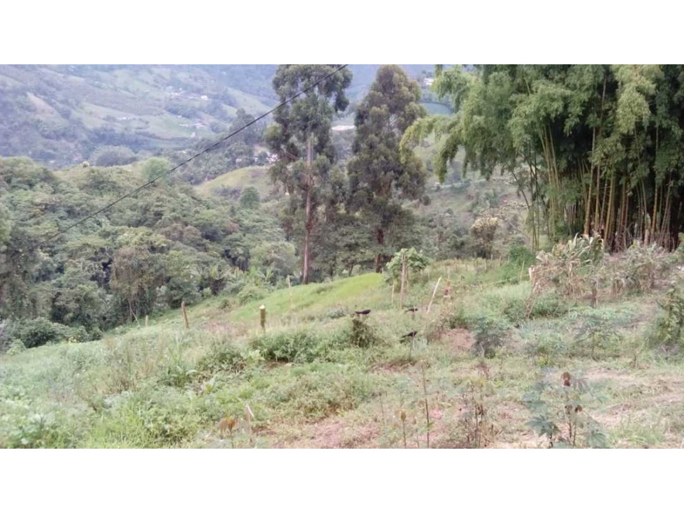 Finca para la venta en Pereira vereda cedralito