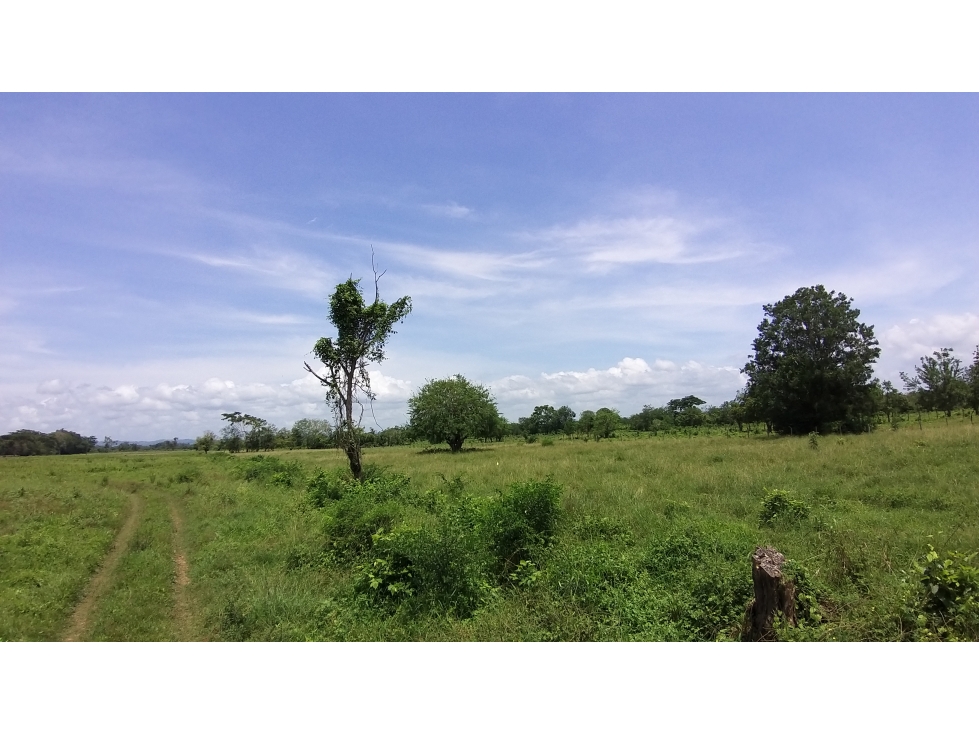 Vende Finca costa de oro