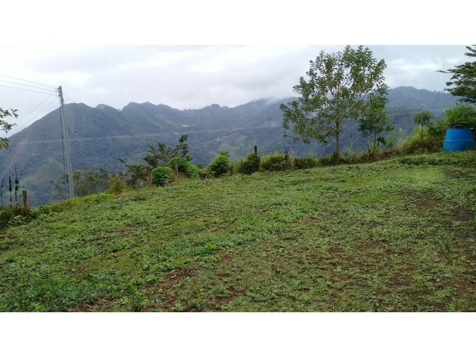 VENTA DE FINCA EN SAN FRANCISCO CUNDINAMARCA