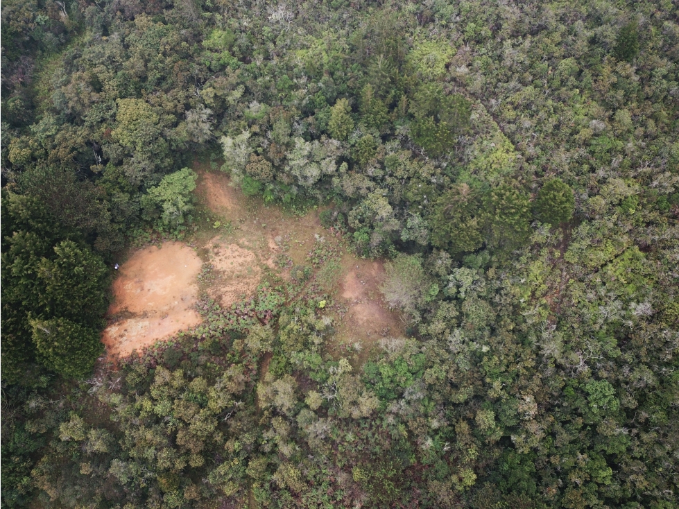 VENTA LOTE GUARNE CON VISTA, AGUA, PRIVACIDAD, CERCANÍA