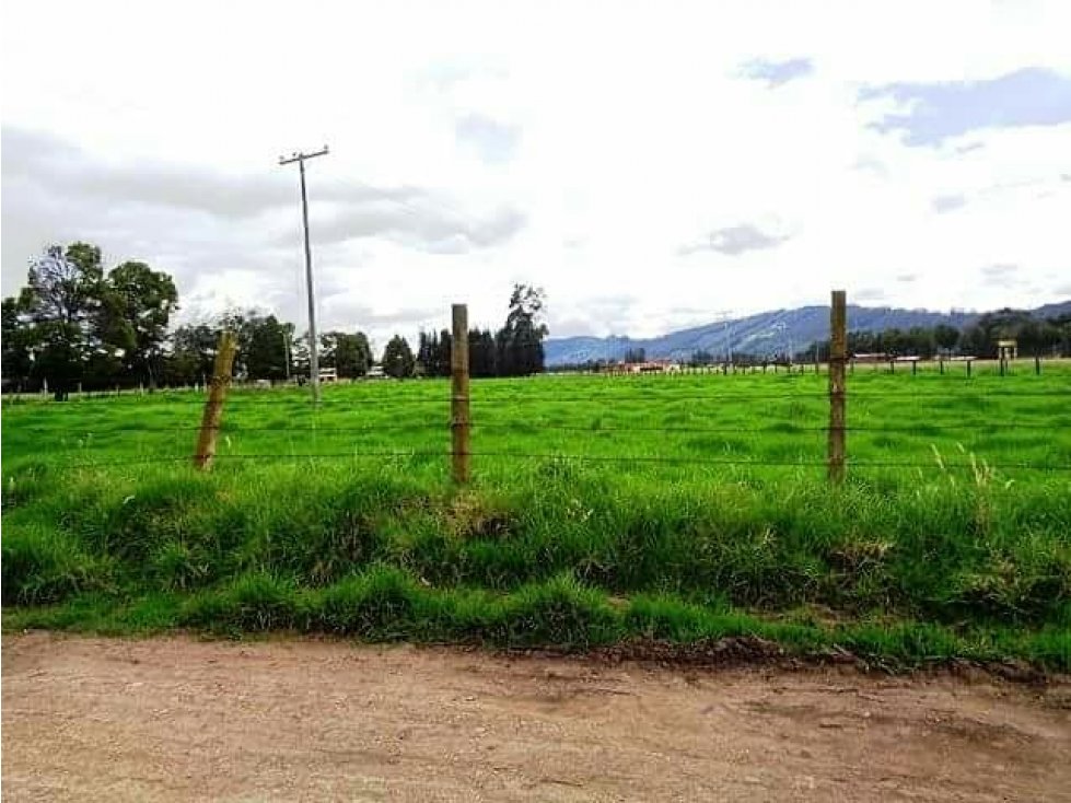 Venta de Lote en  Tenjo Cundinamarca