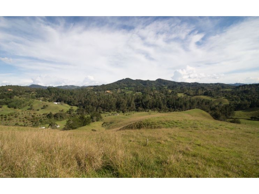 Venta de Lote Vereda Pantanillo El Retiro Antioquia