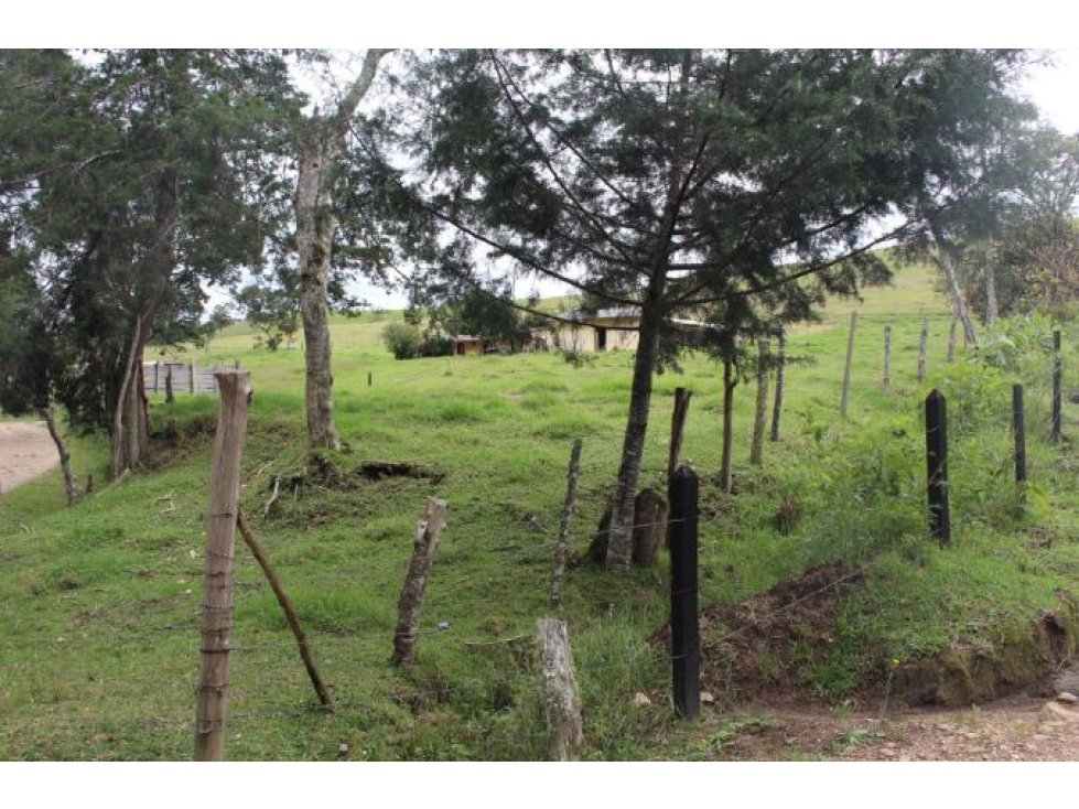 Lote en Venta sector Pantanillo El Retiro