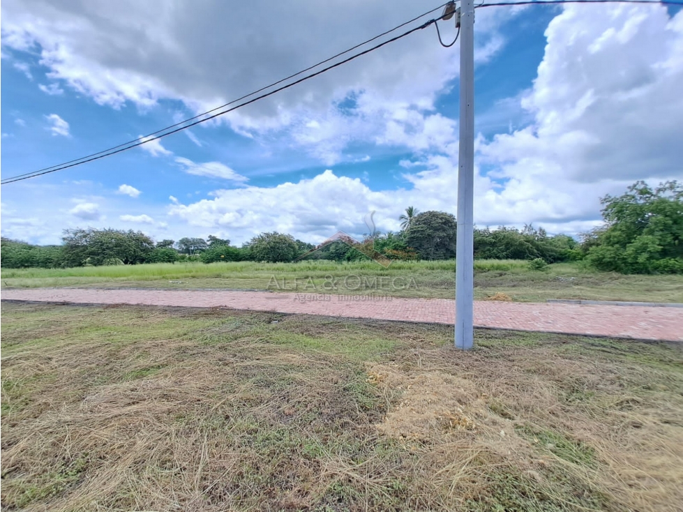 TOLIMA - FLANDES - VENTA DE LOTE EN CONJUNTO CERRADO