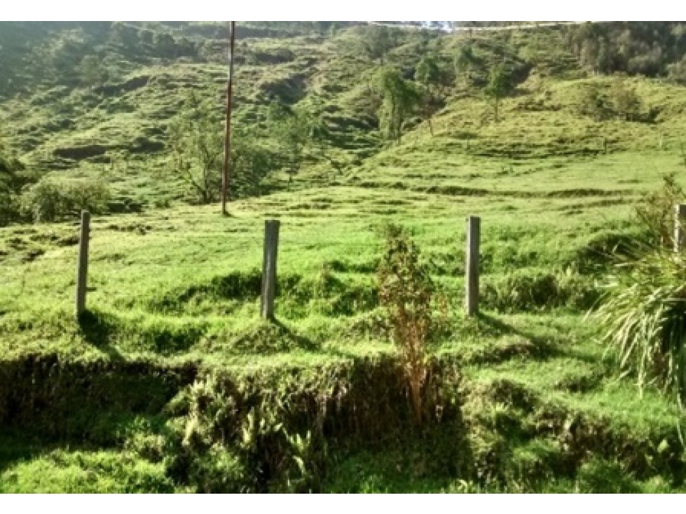 FINCA TENERIFE EL CERRITO VALLE DEL CAUCA