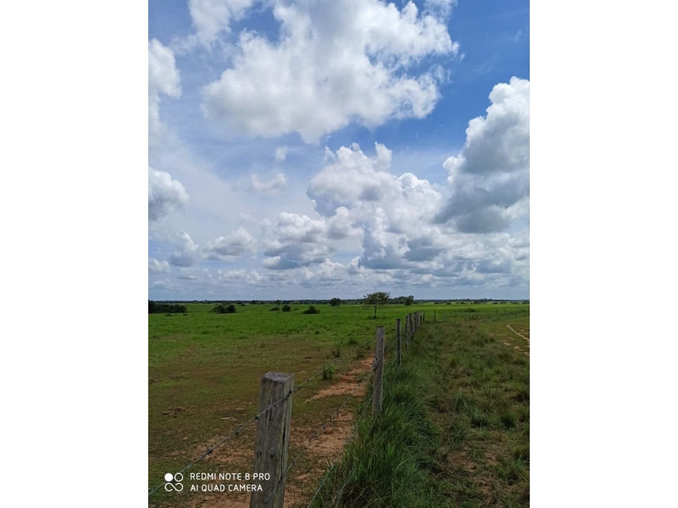 Vendo FINCA de 1600 Hec en Murujuy -  Pto Gaitan