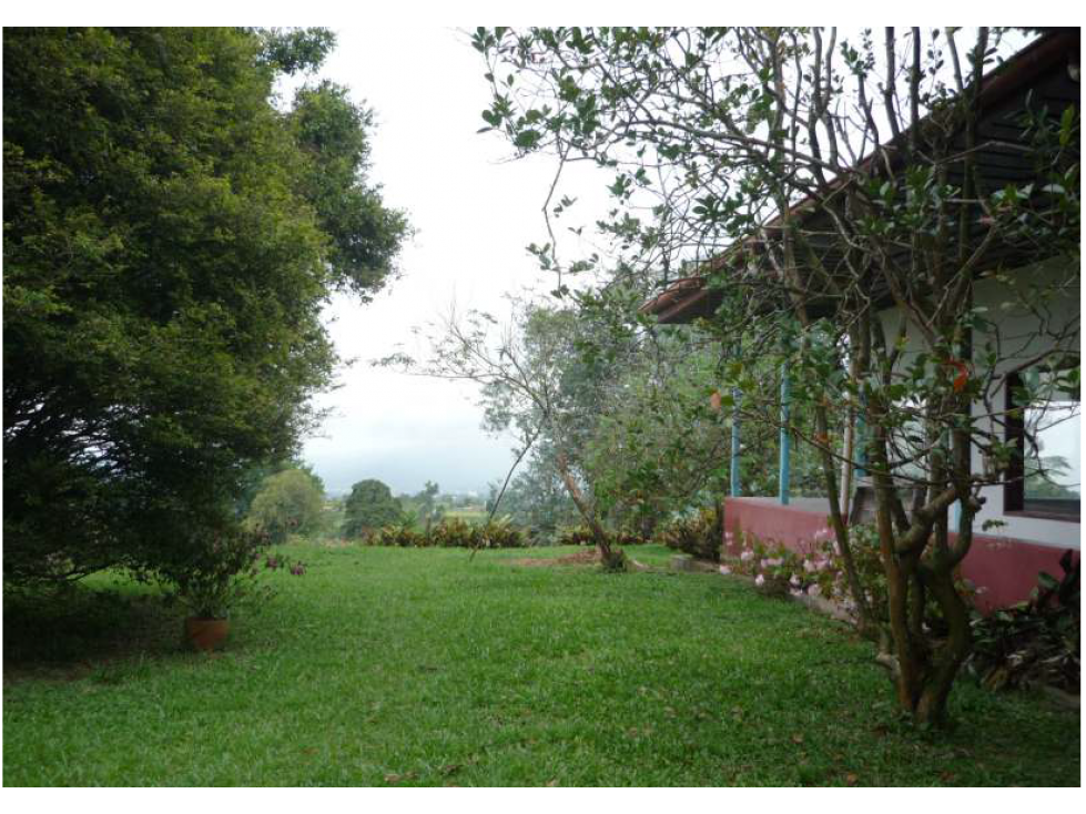 VENDE FINCA A 15 MINUTOS DE PEREIRA