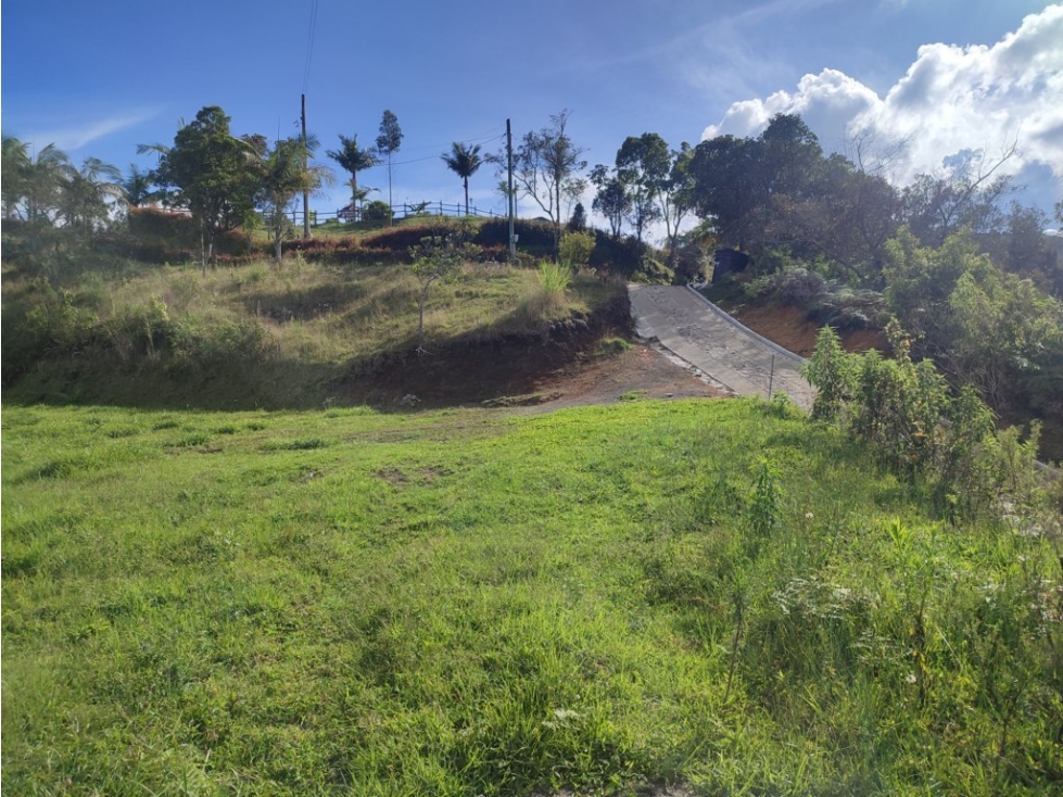 lote en Rionegro con licencia de construcción  5.000 m2 L2