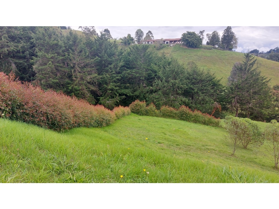 Venta lote Unidad Cerrada el Retiro, villas del campo