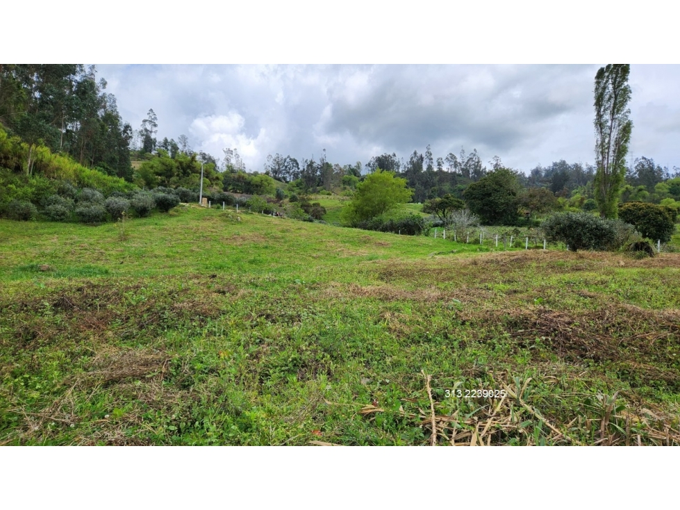 VENDO CASA LOTE EN RAMIRIQUI-BOYACA (REF. F/7