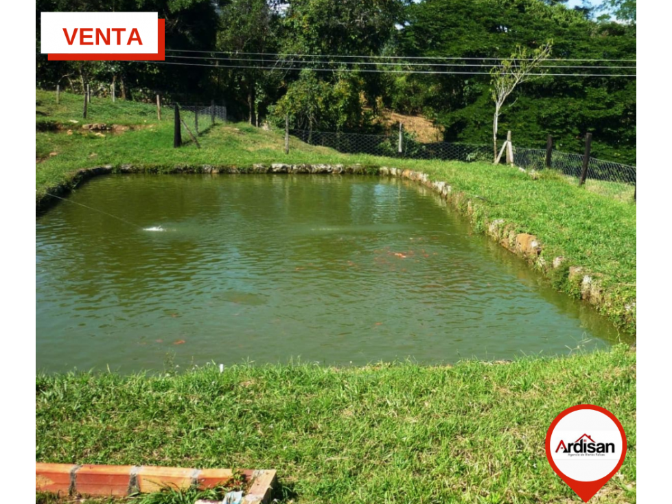 FINCA 5 HÉCTAREAS  EN PALMAS DEL SOCORRO.