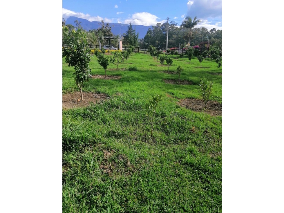 Vendo O Permuto Finca en de Recreo en Pacho Cundinamarca