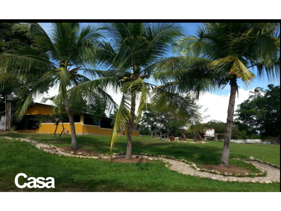 VENTA FINCA 263 HECT. EN VILLA NUEVA CASANARE