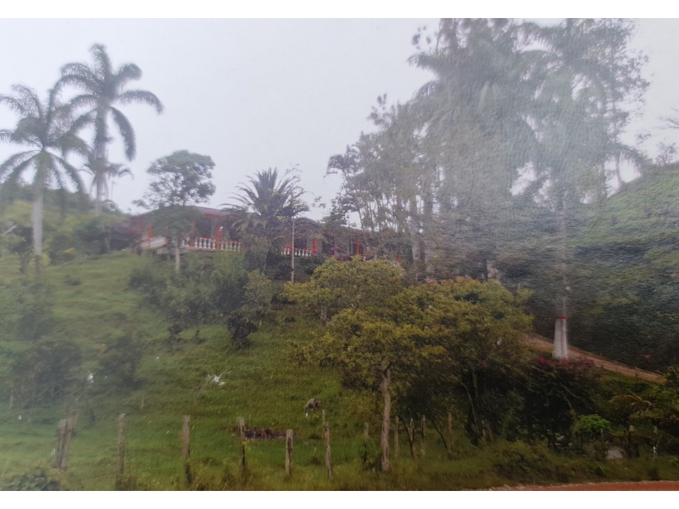 FINCA PARA PARCELAR EN SAN ROQUE, ANTIOQUIA