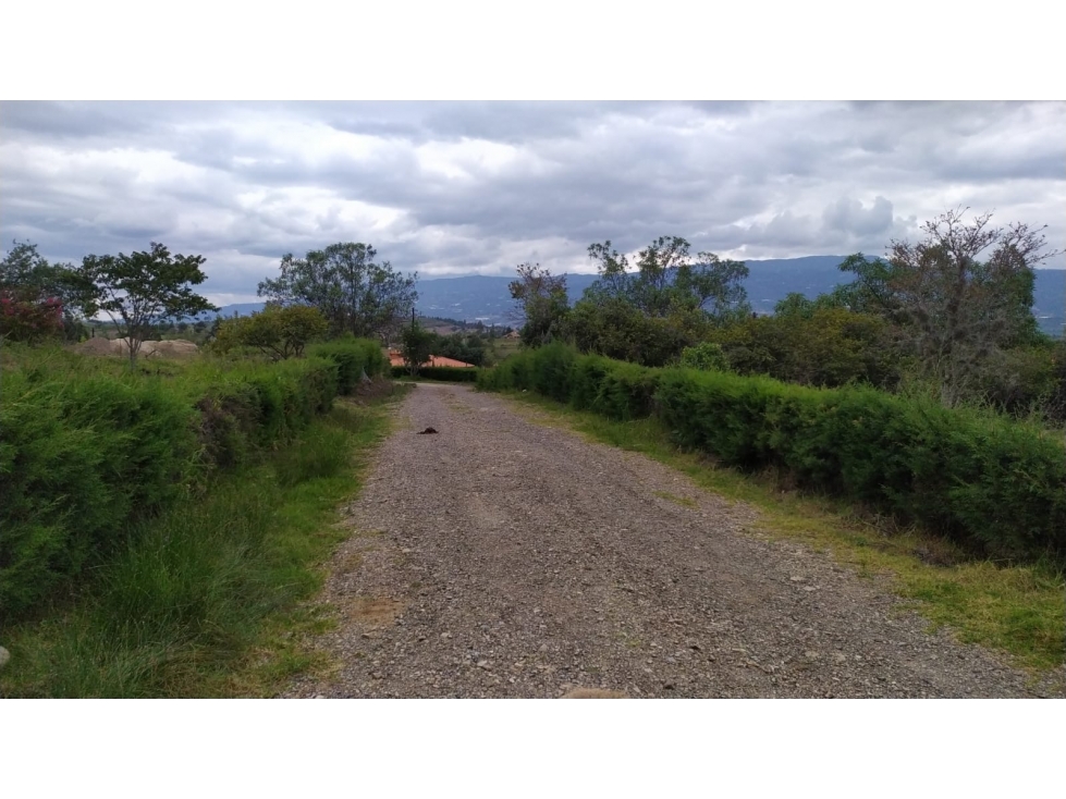 VENDO LOTE N° 31 EN CONJUNTO VILLA DE LEYVA