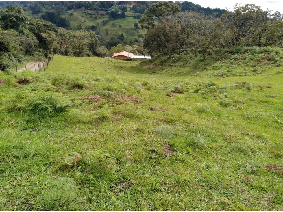 VENDO LOTE EN RIONEGRO VIA A  SANTA ELENA, VDA YARUMAL