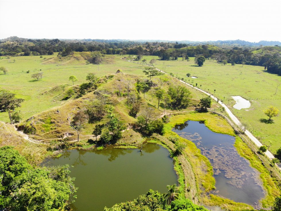 Finca Ganadera en La Dorada 387 Cuadras