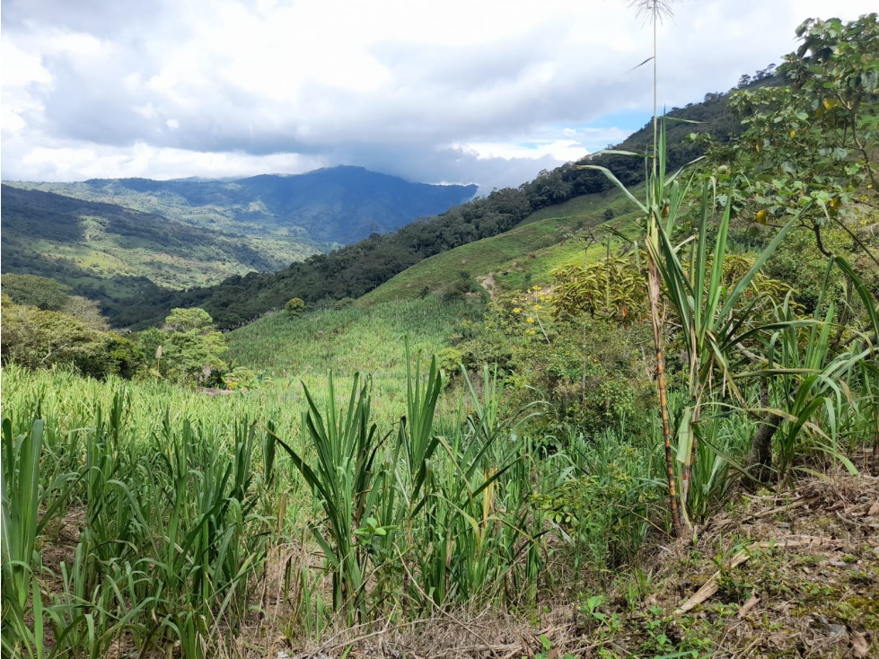 Vende Finca en Guaduas