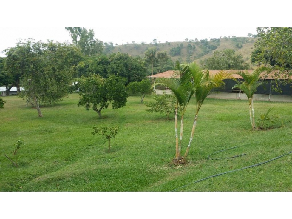 Finca Venta Palmira