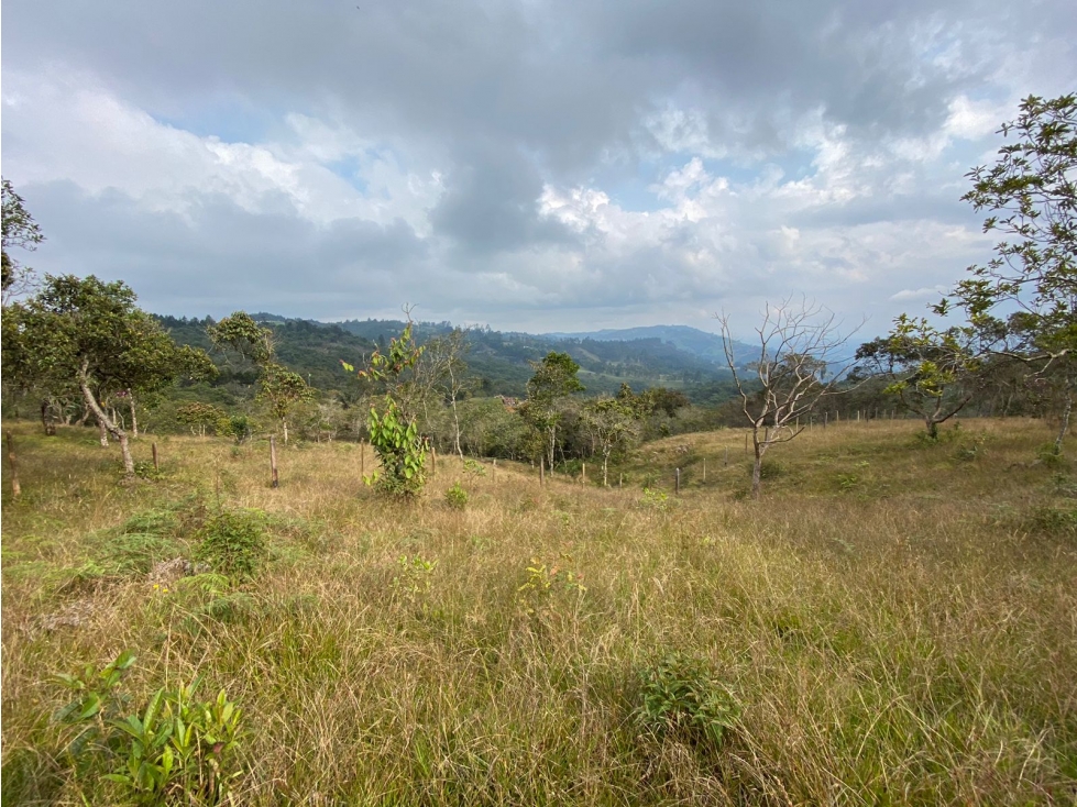 Venta de lote en Guarne, Antioquia - Colombia. ??