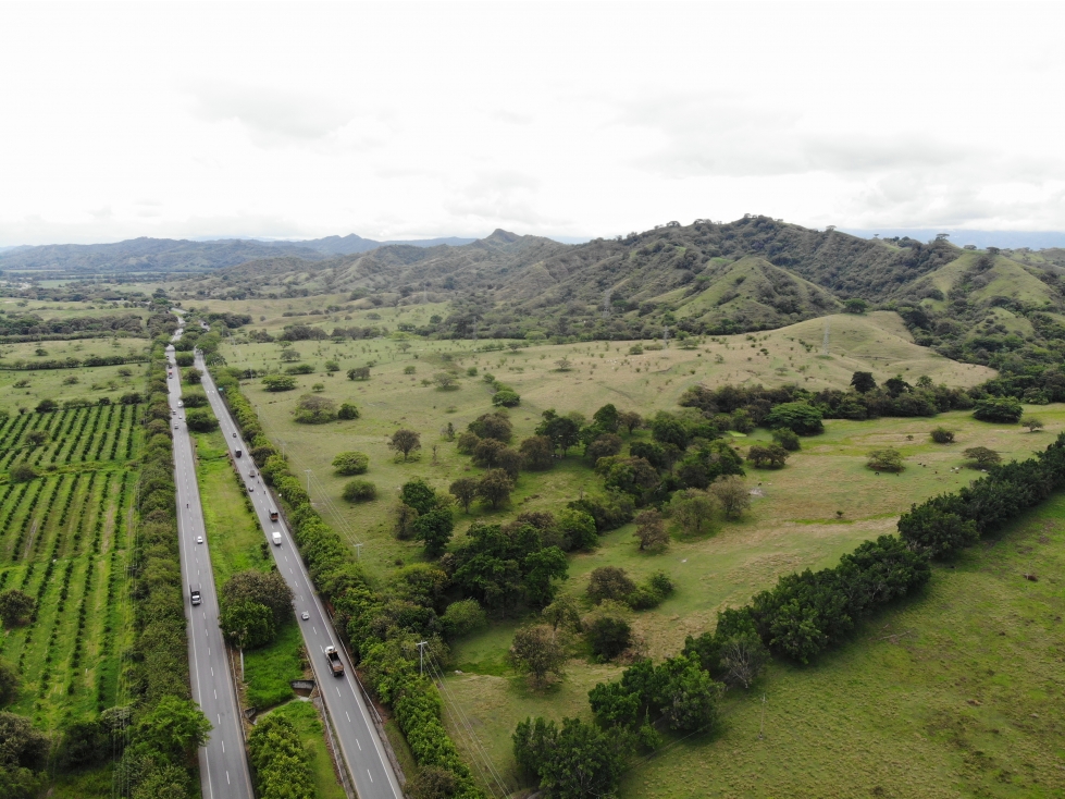 Finca ganadera en la Paila 1.411 plazas