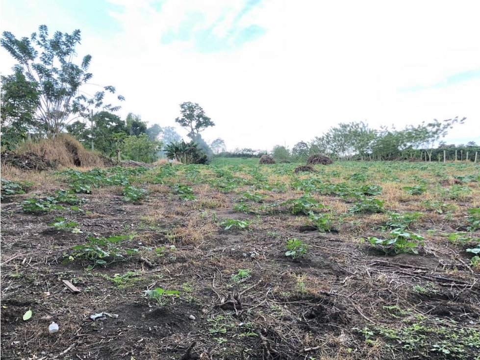 VENDO LOTE ESQUINERO  IDEAL PARA CONSTRUIR TORRES EN TEBAIDA QUINDIO