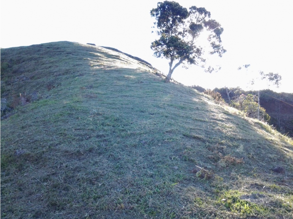 Lotes El Peñol, Antioquia Vereda El Marial Se Venden - Permutan