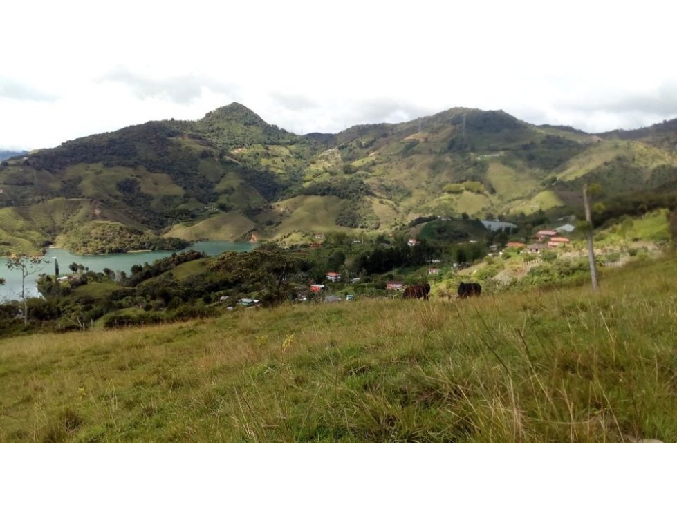 Lote en el peñol vereda Bonilla